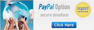 PayPal Option