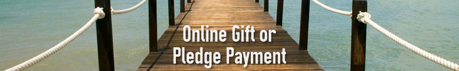 Give Online